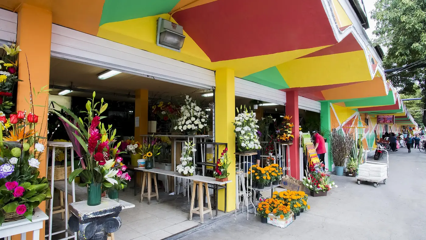 Dónde comer barato en Roma Sur (Ciudad de México)