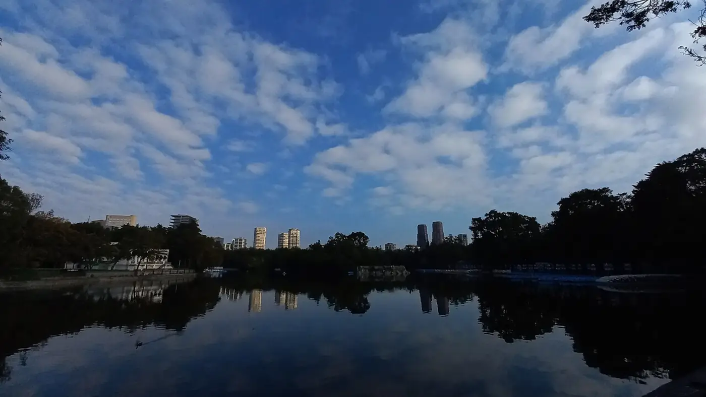 Qué hacer este fin de semana en CDMX: los mejores planes
