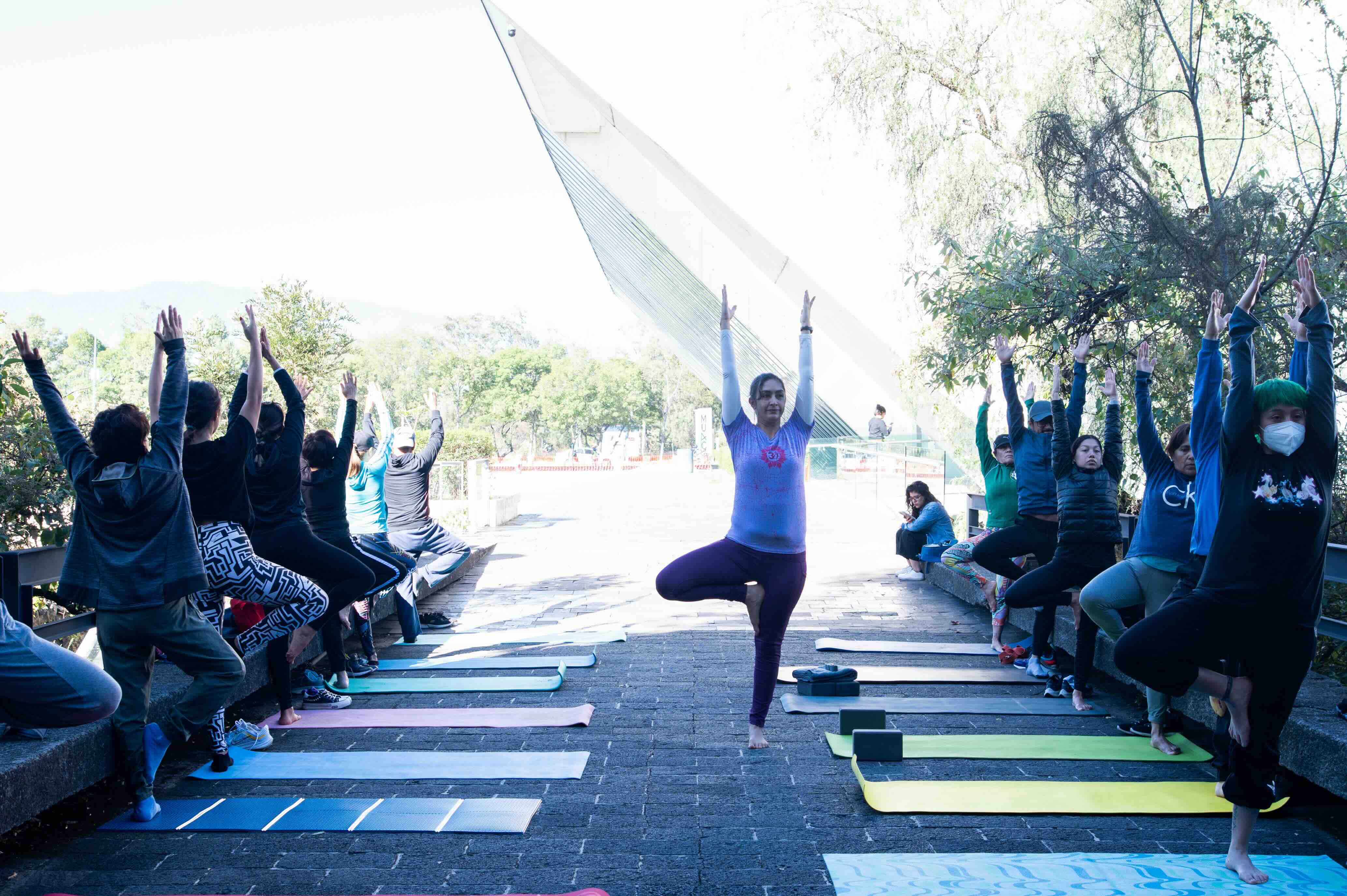 Yoga dominical