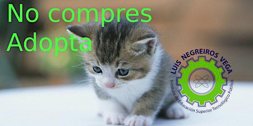 EVENTO EXCLUSIVO PARA ESTUDIANTES DE LUIS NEGREIROS VEGA - SE REGALAN GATOS - Tours en Lima