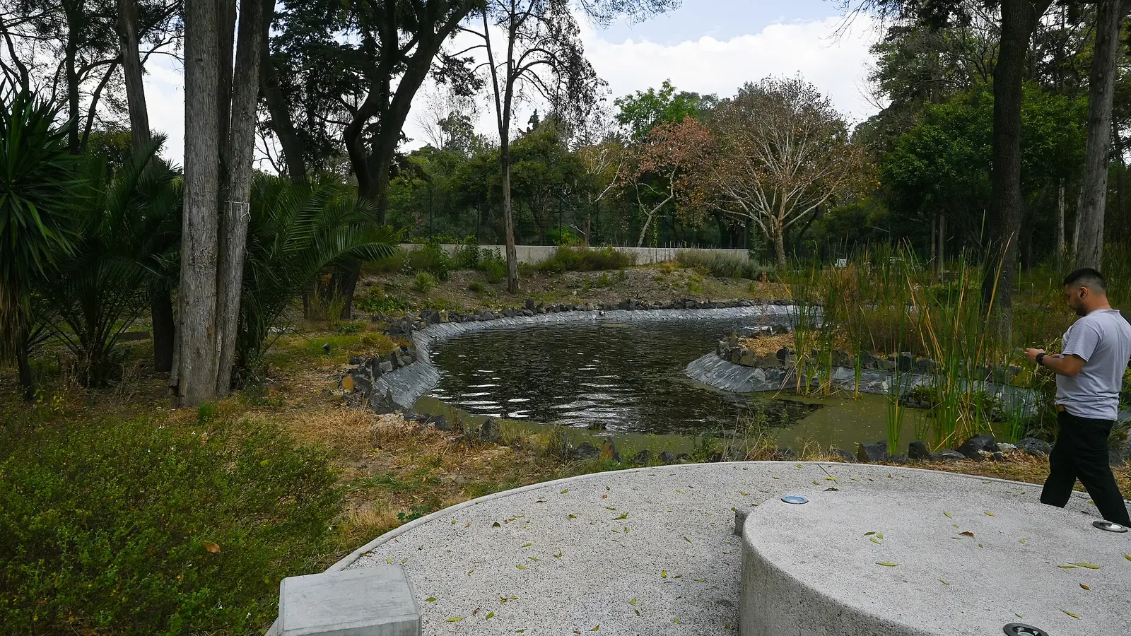 Jardin Escenico - portada