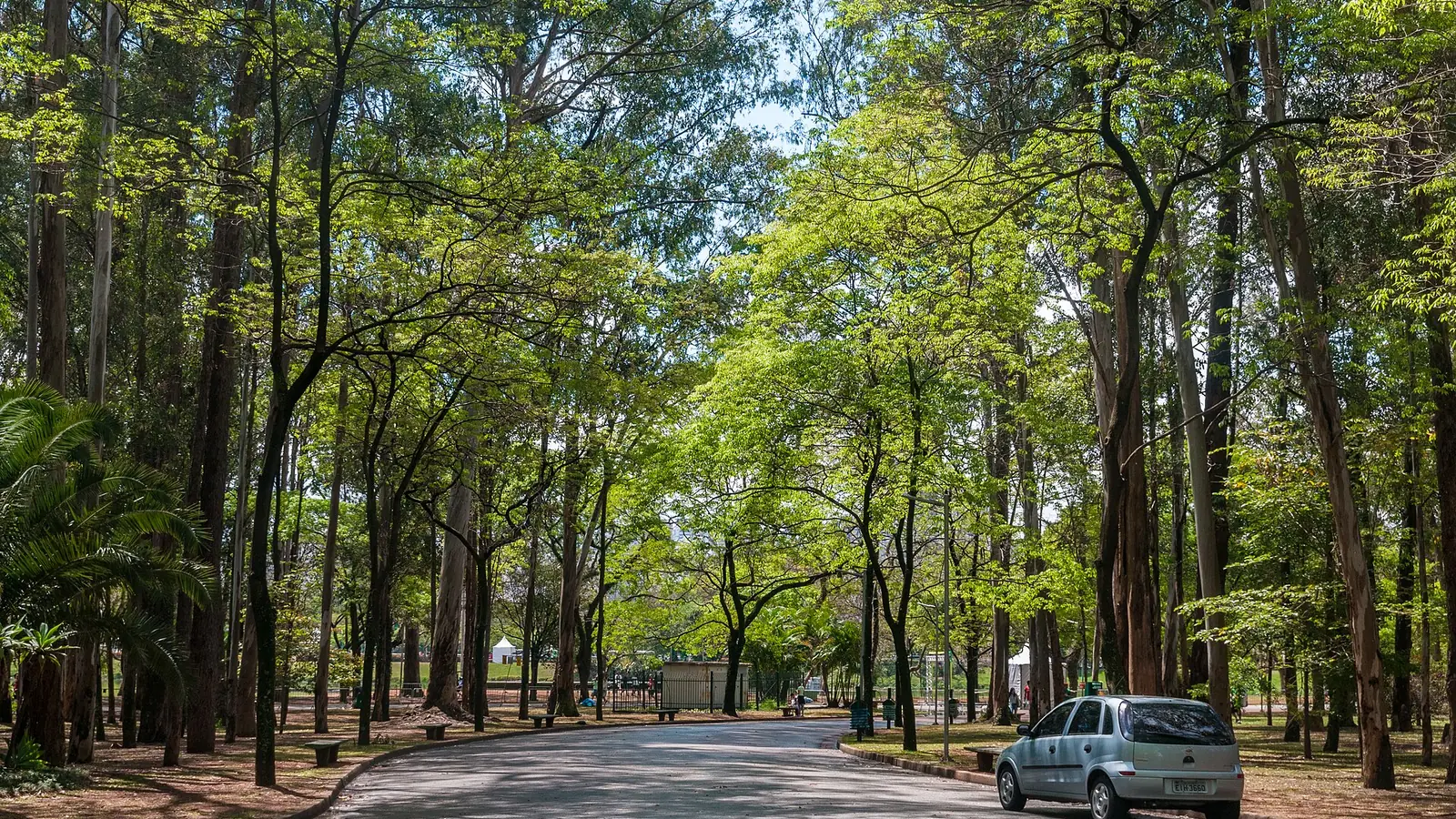 Parque Ibirapuera - portada